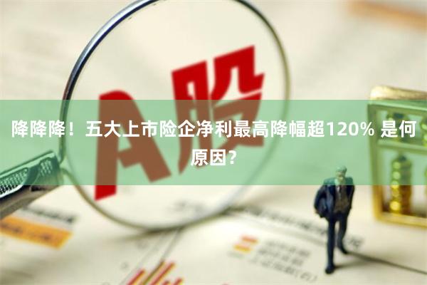 降降降！五大上市险企净利最高降幅超120% 是何原因？
