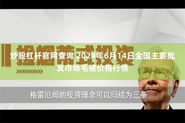 炒股杠杆官网查询 2024年6月14日全国主要批发市场毛猪价格行情