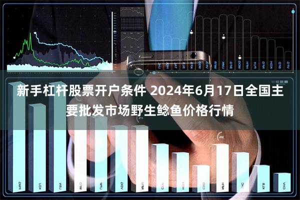 新手杠杆股票开户条件 2024年6月17日全国主要批发市场野生鲶鱼价格行情