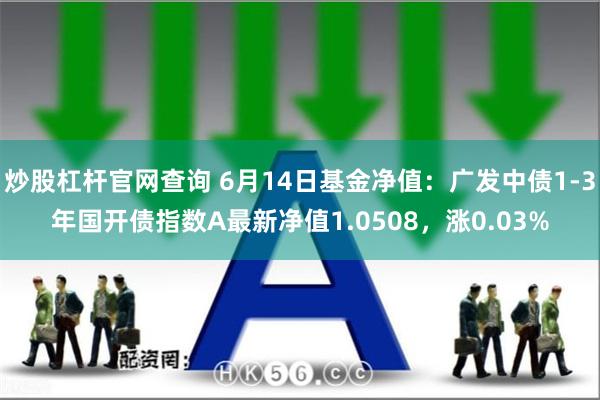 炒股杠杆官网查询 6月14日基金净值：广发中债1-3年国开债指数A最新净值1.0508，涨0.03%