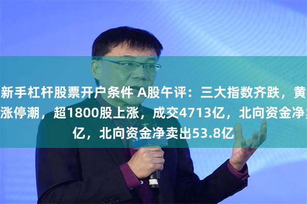 新手杠杆股票开户条件 A股午评：三大指数齐跌，黄金概念股现涨停潮，超1800股上涨，成交4713亿，北向资金净卖出53.8亿