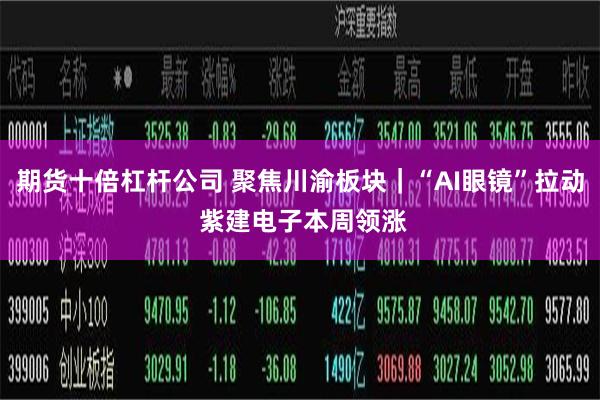 期货十倍杠杆公司 聚焦川渝板块｜“AI眼镜”拉动 紫建电子本周领涨