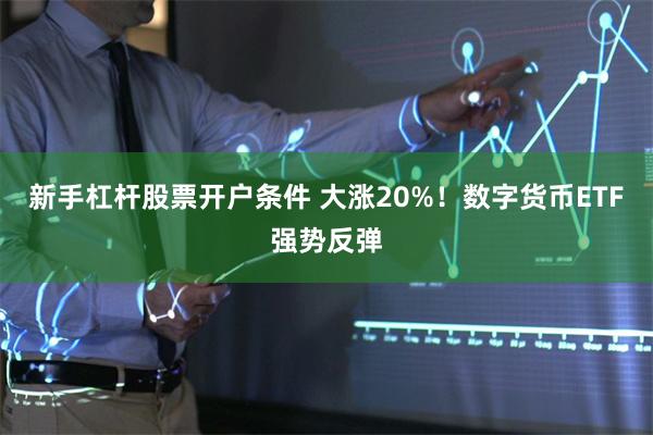 新手杠杆股票开户条件 大涨20%！数字货币ETF强势反弹