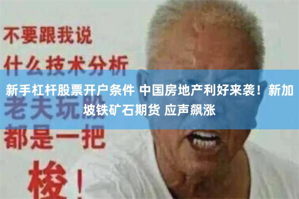 新手杠杆股票开户条件 中国房地产利好来袭！新加坡铁矿石期货 应声飙涨