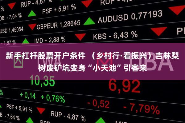 新手杠杆股票开户条件 （乡村行·看振兴）吉林梨树废矿坑变身“小天池”引客来