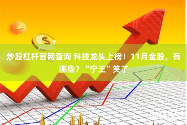 炒股杠杆官网查询 科技龙头上榜！11月金股，有哪些？“宁王”笑了