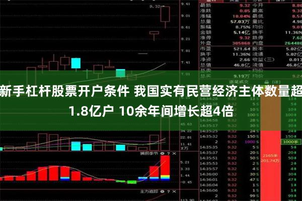 新手杠杆股票开户条件 我国实有民营经济主体数量超1.8亿户 10余年间增长超4倍
