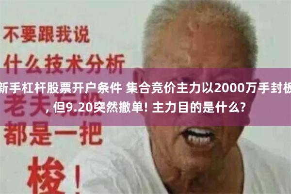 新手杠杆股票开户条件 集合竞价主力以2000万手封板, 但9.20突然撤单! 主力目的是什么?