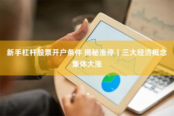 新手杠杆股票开户条件 揭秘涨停丨三大经济概念集体大涨