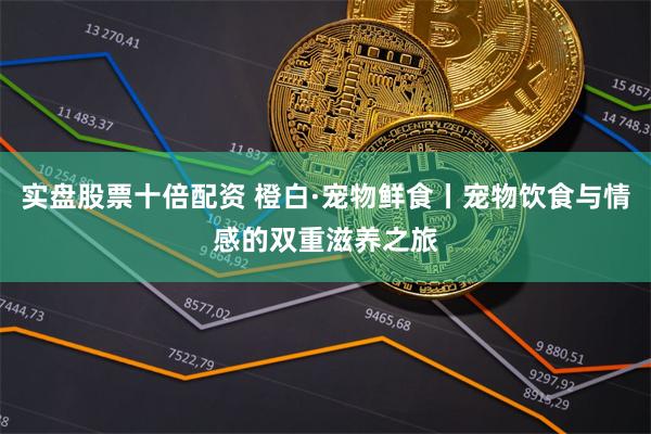 实盘股票十倍配资 橙白·宠物鲜食丨宠物饮食与情感的双重滋养之旅