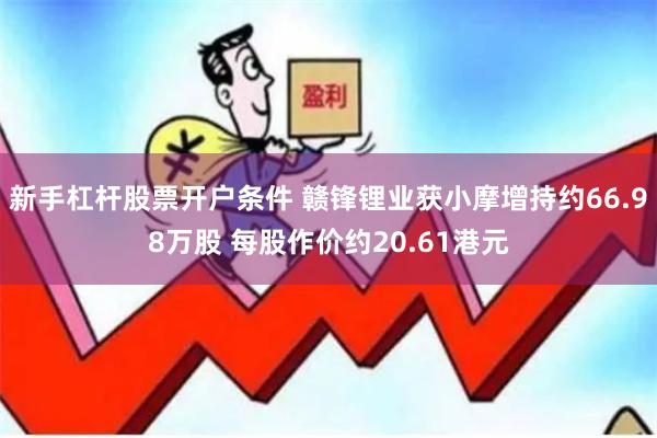 新手杠杆股票开户条件 赣锋锂业获小摩增持约66.98万股 每股作价约20.61港元