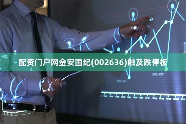 配资门户网金安国纪(002636)触及跌停板
